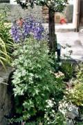 jardin aux Verneys 3 